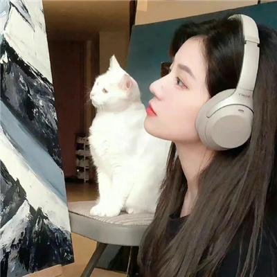从天而降的一亿颗星星