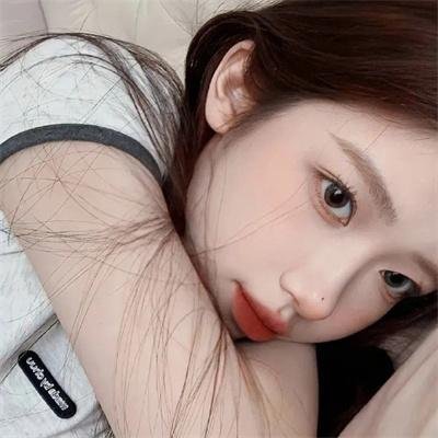 哈莱姆的郁金香